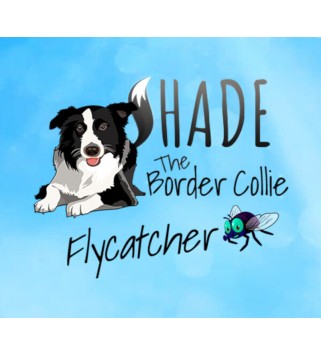 SHADE The Border Collie Flycatcher Steam Key GLOBAL